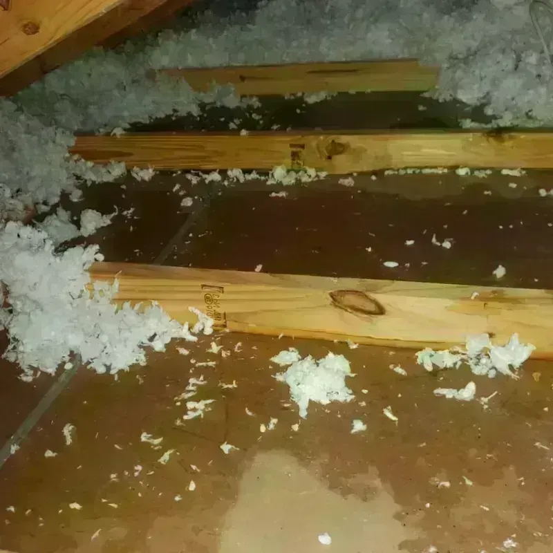 Attic Water Damage in Aransas Pass, TX